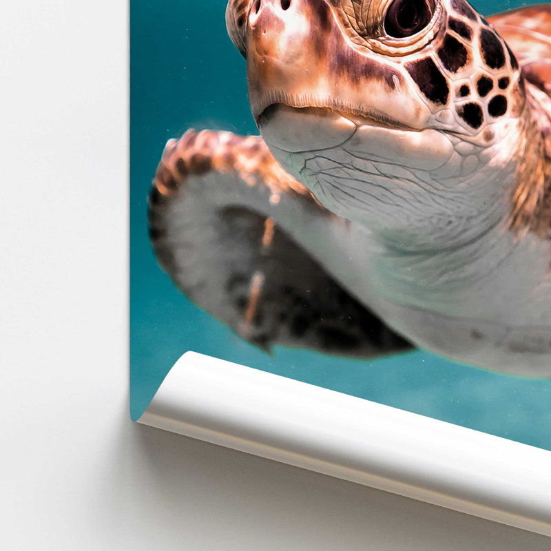 Impression sur roulettes Sea Turtle's Path II, H 36 po x l 24 po, Sans cadre