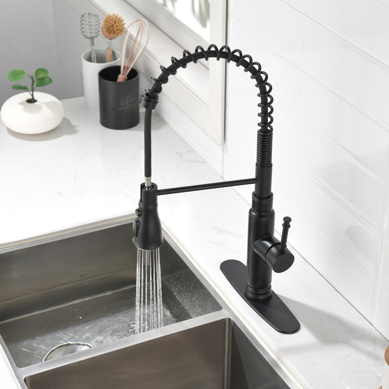 Home Adores Pull Down Kitchen Faucet, Black