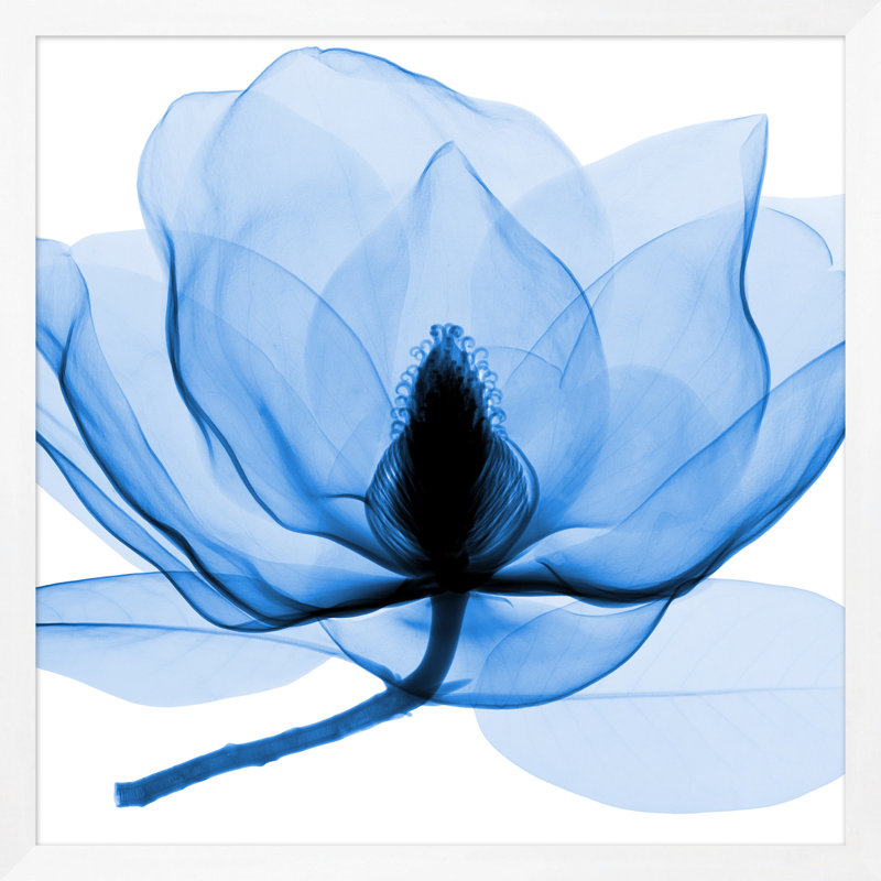 Cueillies à la main, impression sur bois encadrée bleue 3 pi