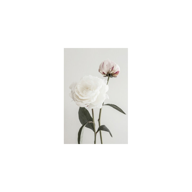 Wrapped Canvas Print, 50.8 cm H x 76.2 cm W