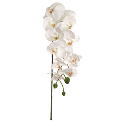 Orchidée phalaenopsis 43 "avec 12 fleurs - blanc (ensemble de 3)
