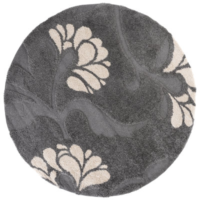 Chanhassen Shag Performance Floral Rug