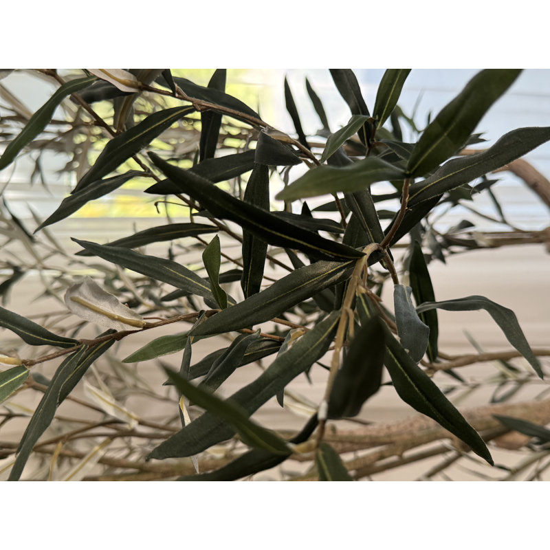 Olive artificielle dans un vase noir, Noir