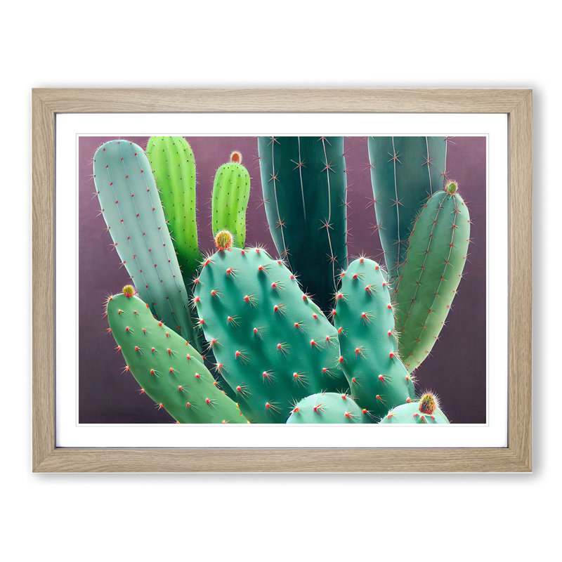 XH1022-10305X Wonderful Cactus 1 Piece Single Picture Frame Wall Art, 25cm H x 34cm W x 2cm D, Oak Framed