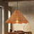 1-Light Organic Rattan Pendant Light