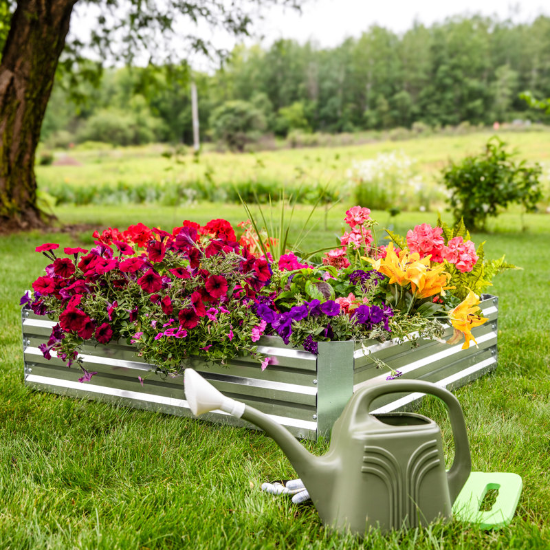 Lit de jardin surélevé en acier galvanisé Rondrick - argenté - l 4 pi x P 4 pi x H 1 pi, H 11,5 po x l 47 po x P 47 po