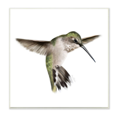 " Green Hummingbird Hovering Wings Flying Bird Beak "