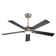Portico 5 Blades Indoor Ceiling Fan with Light Kit and Remote