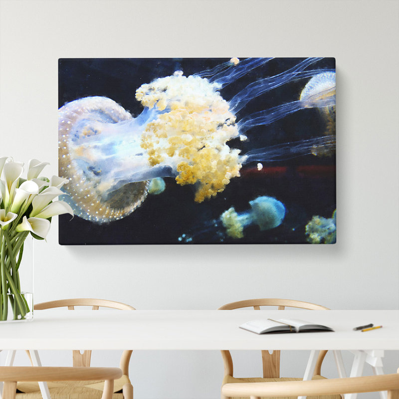 Jellyfish Vol.3 - Wrapped Canvas, 40cm H x 60cm W x 3cm D