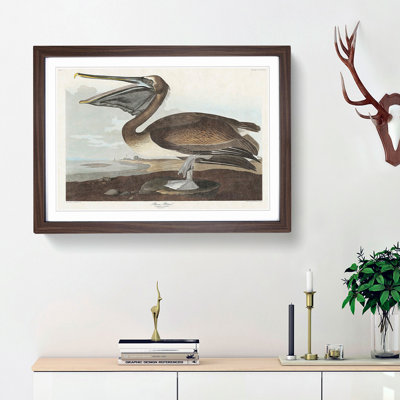 A Brown Pelican by John Audubon - Single Picture Frame Painting