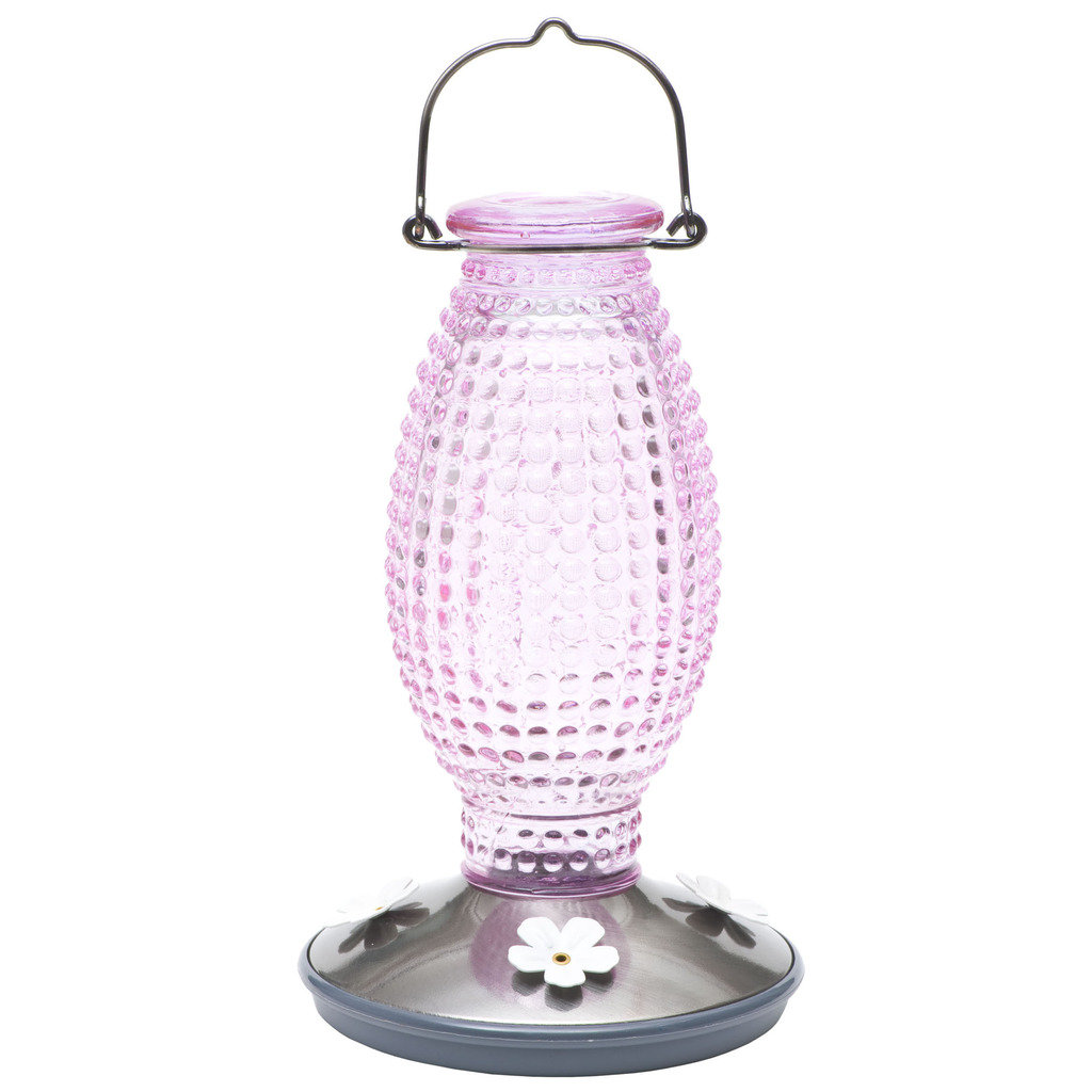 Dierdra Glass Hanging Hummingbird Feeder Latitude Run®