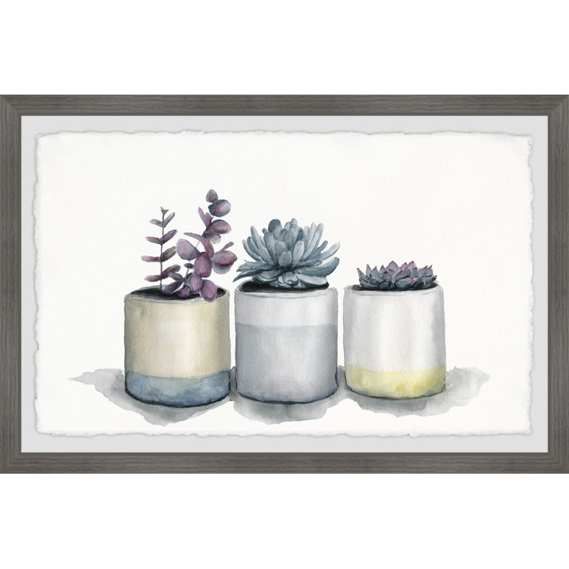«Three Pots Succulents» par Julia Posokhova, reproduction d'art sur papier encadrée, H 12 po x l 18 po x P 1,5 po