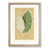 Oak Framed