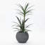 Pot à fleurs rond Anjonette-654173080
