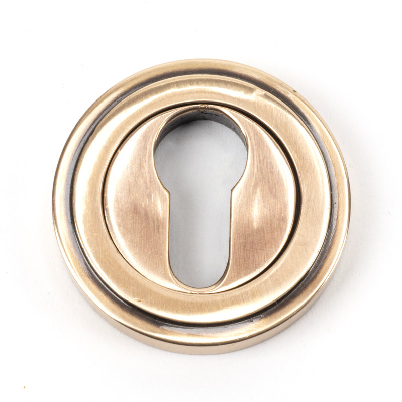 Euro Escutcheon Door Accessory, Polished Bronze