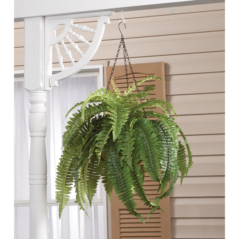 OakRidge Fully Assembled Fern Hanging Basket