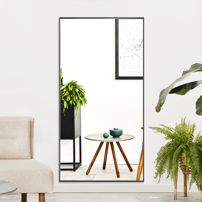 Miroir pleine longueur Mckaylin, 36 po x 70 po