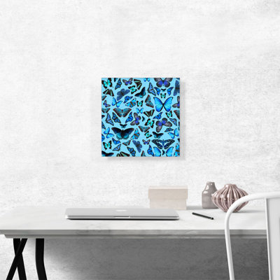 " Navy Baby Blue Butterfly Wings Insect "