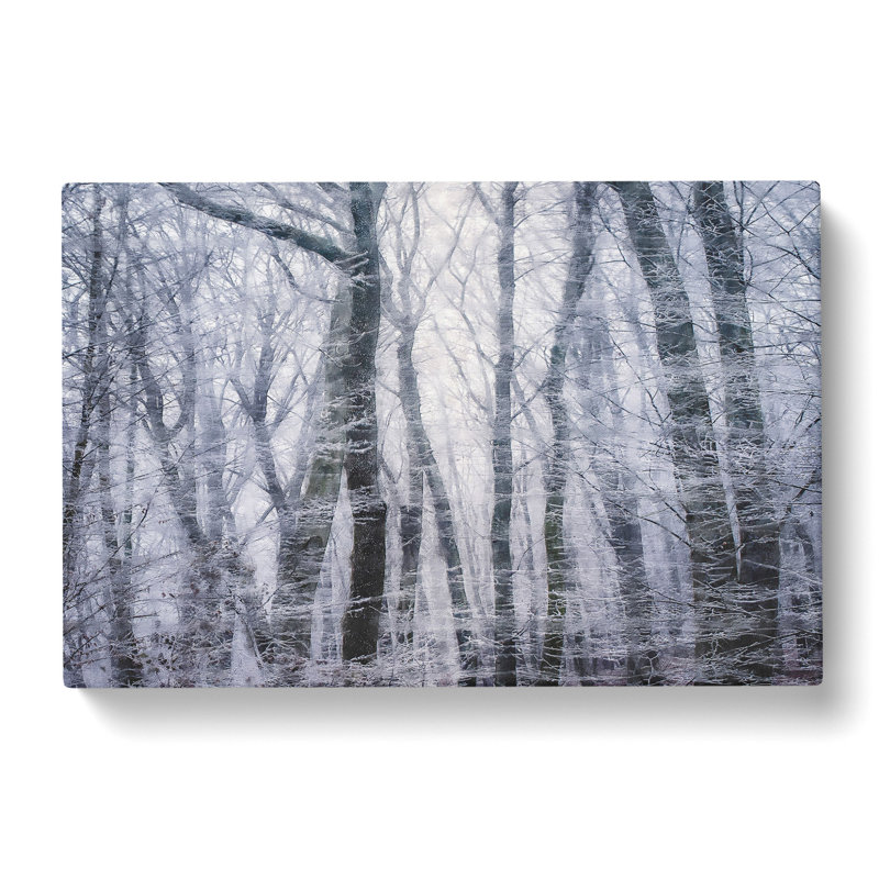 Winter Forest Vol.11 - Wrapped Canvas Print, 40cm H x 60cm W x 3cm D
