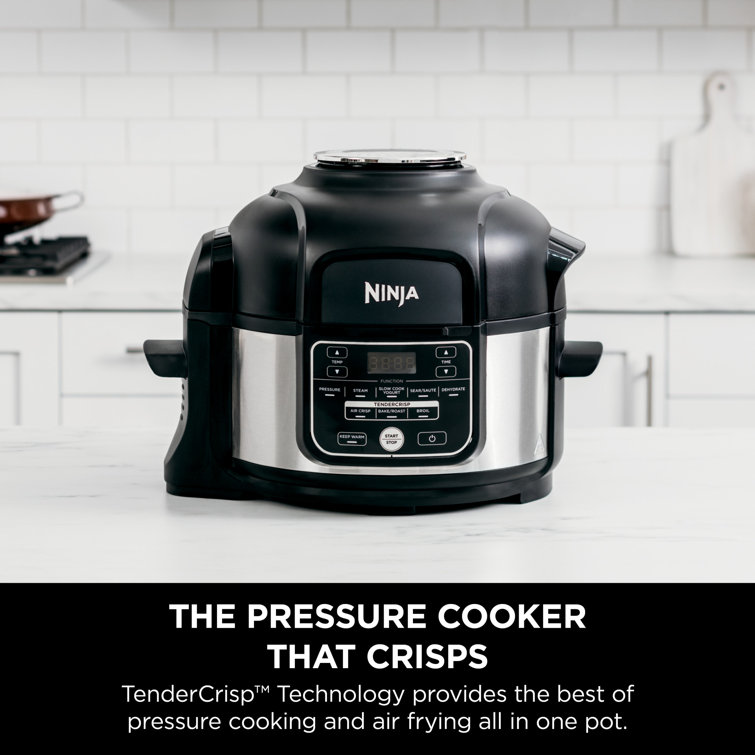 Ninja Foodi 9-in-1 6.5QT Pressure Cooker and Air Fryer 4-Quart Black Oval  Slow Cooker