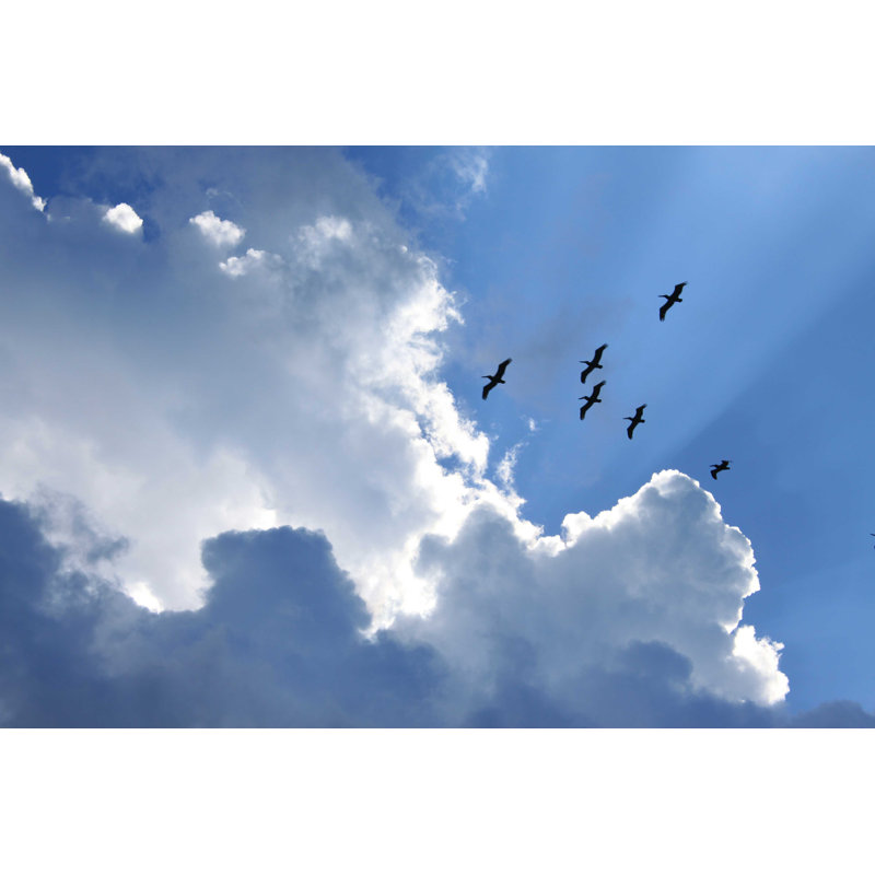 «Blue Sky and Clouds» par Dmasini - photographie sur toile tendue, L 36 po x H 24 po