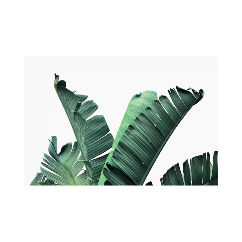 «Banana Leaves» par Sissi et Seb - impression d'art graphique, Toile tendue, Pas de tapis, H 18 po x l 26 po x P 1,5 po