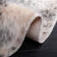 Tapis beige / noir en polyester tissé à la machine Arbedella-712606488