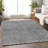 Premium Machine Washable Prisco Gray Rug-1919618874