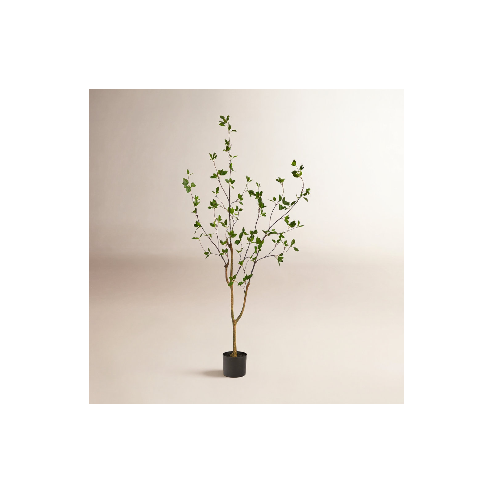 5Ft. Minimalist Citrus Artificial Tree, 60" H x 14" W x 14" D