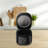 Salton Multifunction 12-Cup Micom Rice Cooker