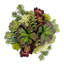 12" Succulent Arrangement