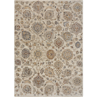 Orkin Area Rug