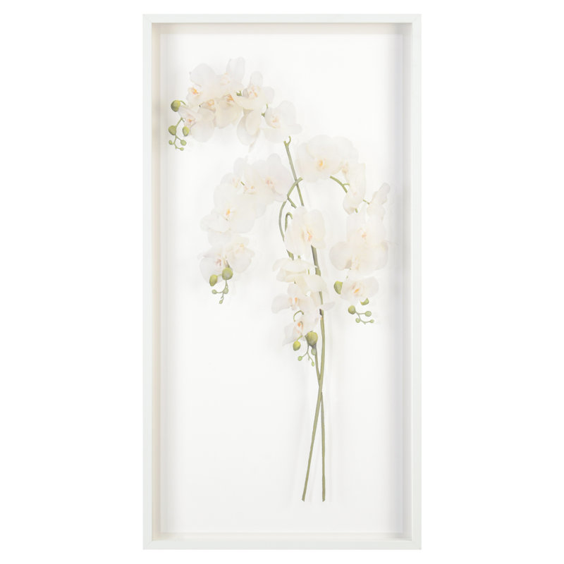 Study Of Orchids II Print