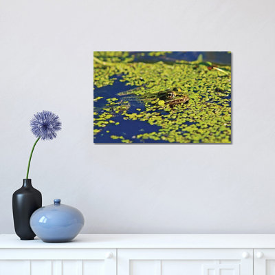 Camoflouged 1 Piece Wrapped Canvas Wall Art