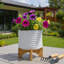 Pot de fleurs en céramique avec support en grès - pot décoratif texturé avec base en bambou - pot à fleurs surélevé intérieur / extérieur moderne-37322819