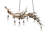 8 - Light Dimmable Modern Linear Chandelier