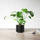 Byer Handmade Ceramic Pot Planter