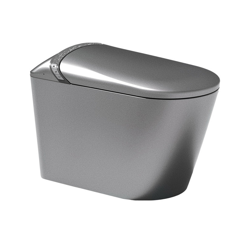 Modern Smart Toilet With Starry Night And Built - In Bidet, Bathroom Use, Auto Lid Open/Close, Foot Sensor Function, Led Display, Warm Water Washing, Matte Grey Side Touch Activation Bidet For