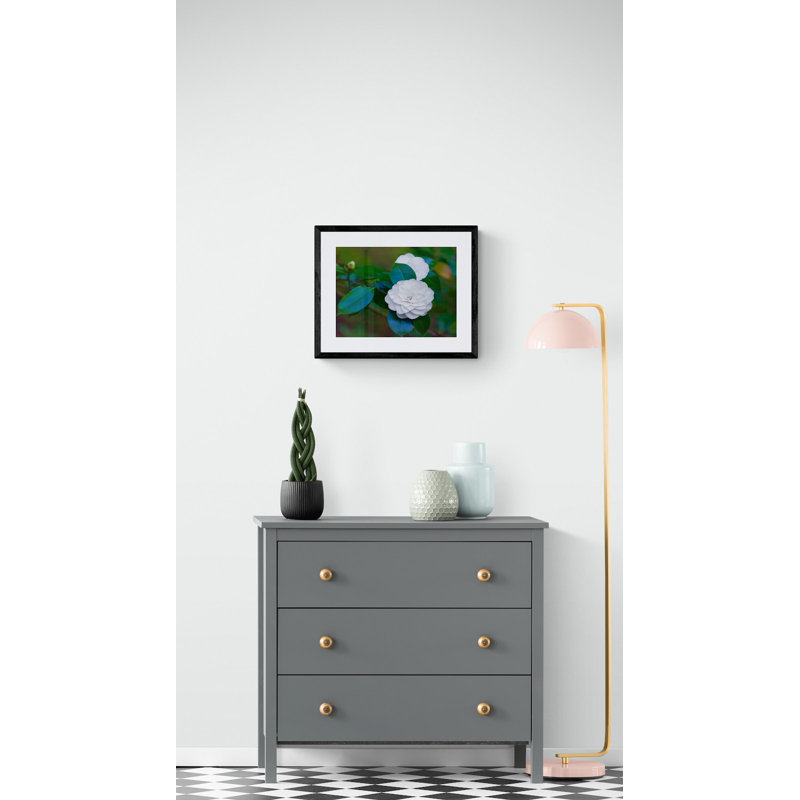 White Camellia Print by Tom Kostes