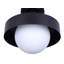 Plafonnier extérieur 1 lumière BAYLOR, finition noire