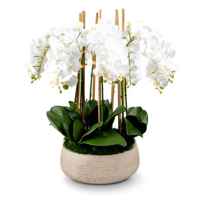 Functional Beauty Realtouch Orchid Arrangement
