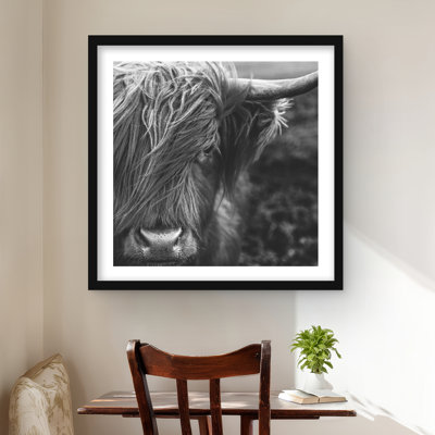 Portrait monochrome - Highland Cow - Rustic, reproduction d'art encadrée