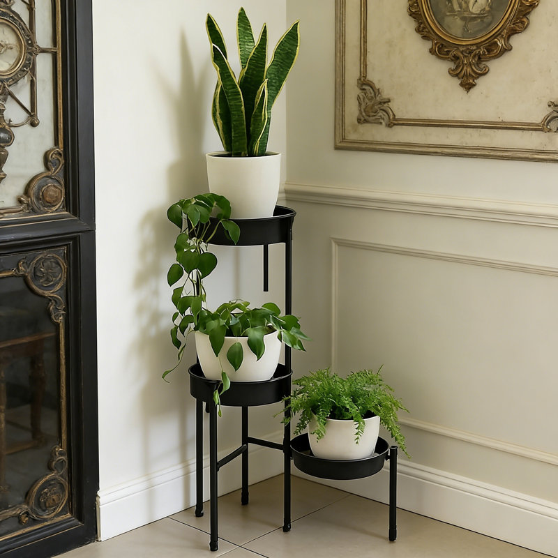 Plant Stand