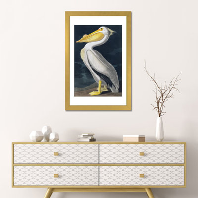 Pelican_1PFA