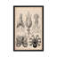 Cephalopod (gamochonia), impression sur toile-73792603-73792604-73792605