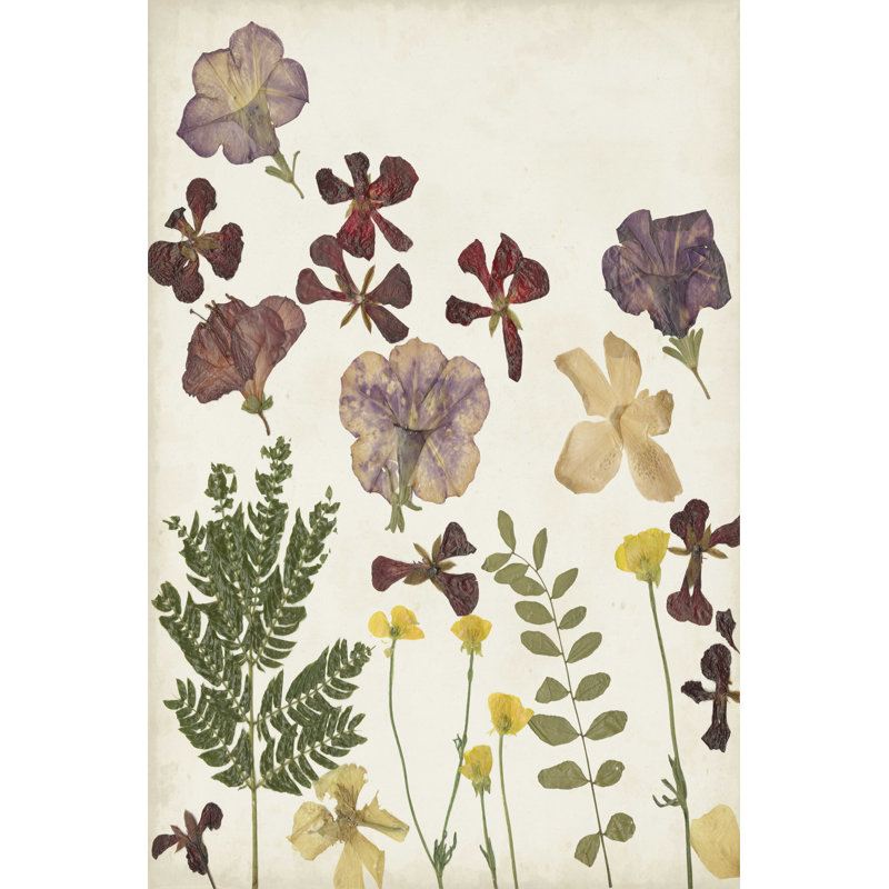 Arrangement de fleurs pressées IV, H 12 po x l 8 po