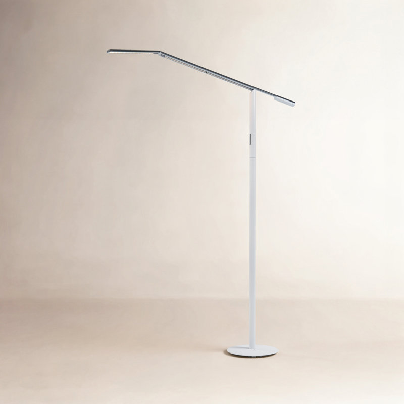 Equo 44.75'' Task Floor Lamp, Silver, Warm