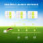 Jouet pour chien Interactives