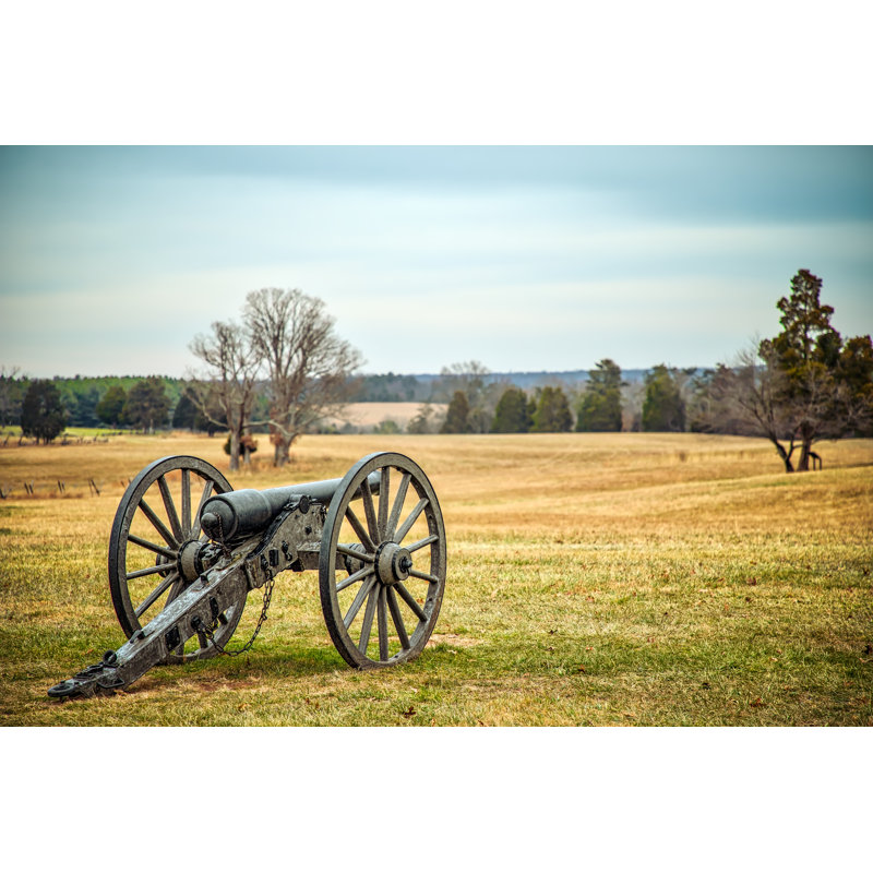 Cannon on Meadow - Photographie sur toile tendue, H 24 po x l 36 po