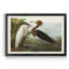 Héron mauve - reproduction d'art sur toile-372557868-372557869